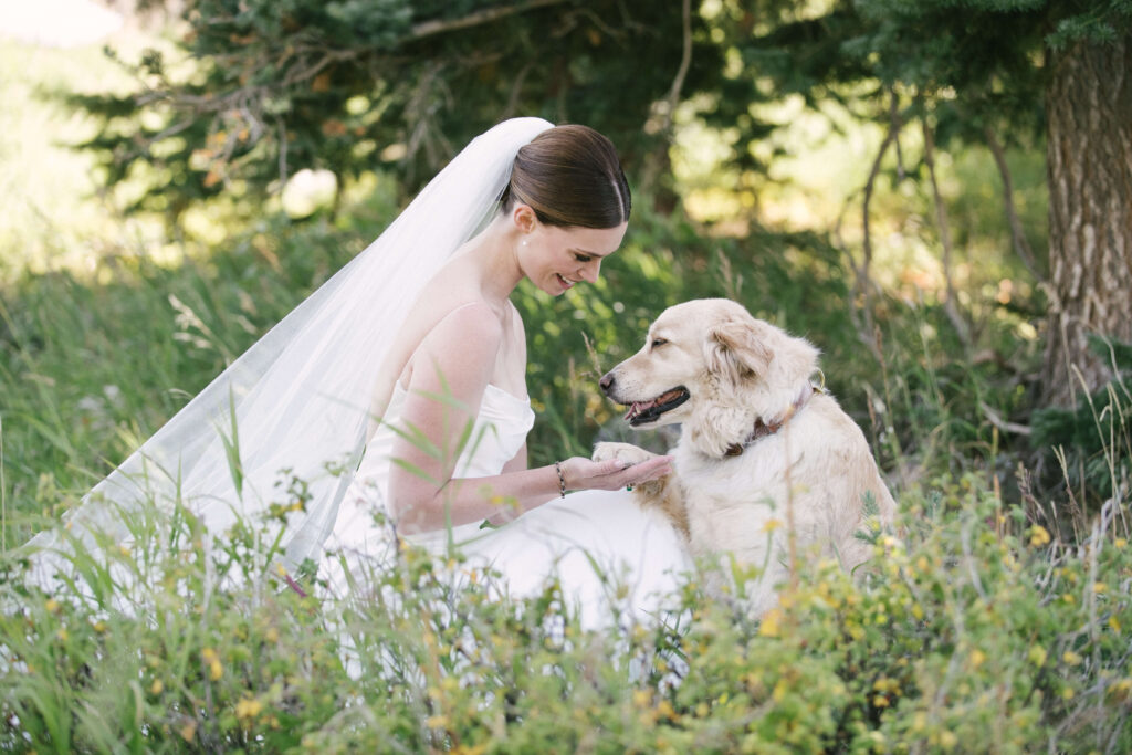 Bride shares a quiet moment with her dog in a Colorado meadow